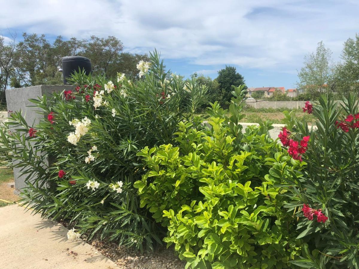 Holiday Home Visnja นิน ภายนอก รูปภาพ