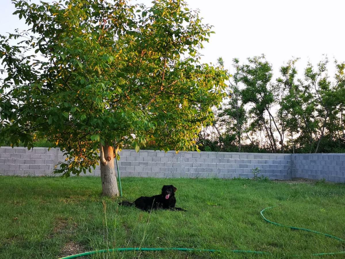 Holiday Home Visnja นิน ภายนอก รูปภาพ